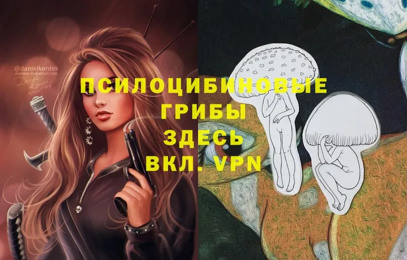 Галлюциногенные грибы Cubensis  Минусинск 